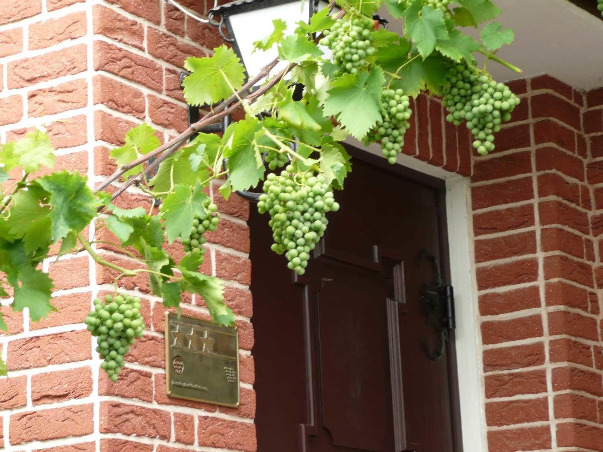 Landgasthaus Bonn 바우나탈 외부 사진